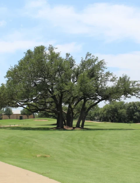 Avery Ranch Golf Club — photo 2