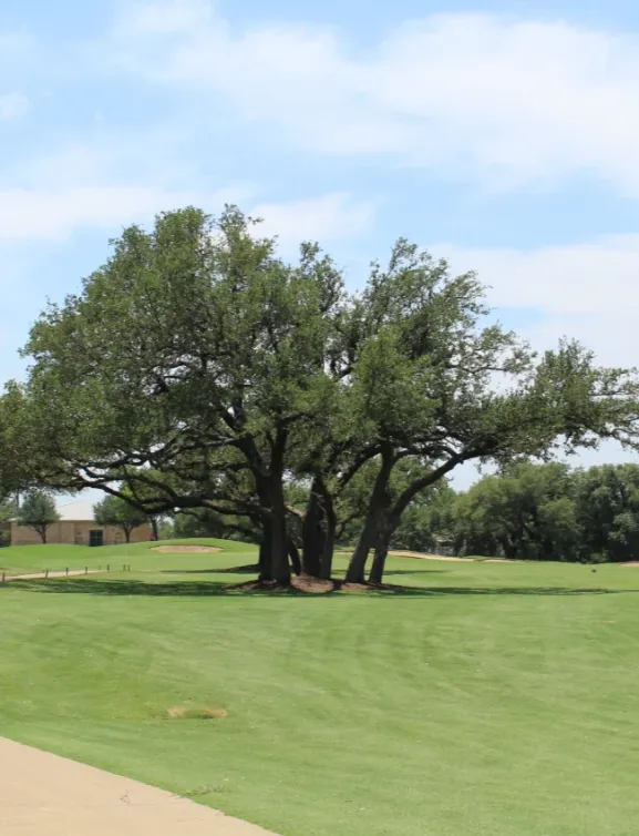 avery ranch golf club 272